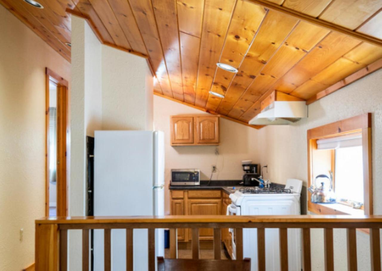 Phoenicia Lodge Phoenicia