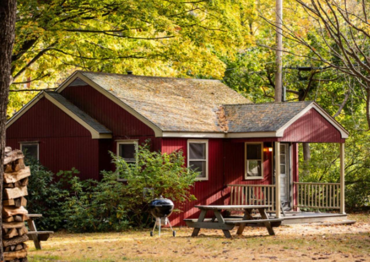 Hotel Phoenicia Lodge Phoenicia