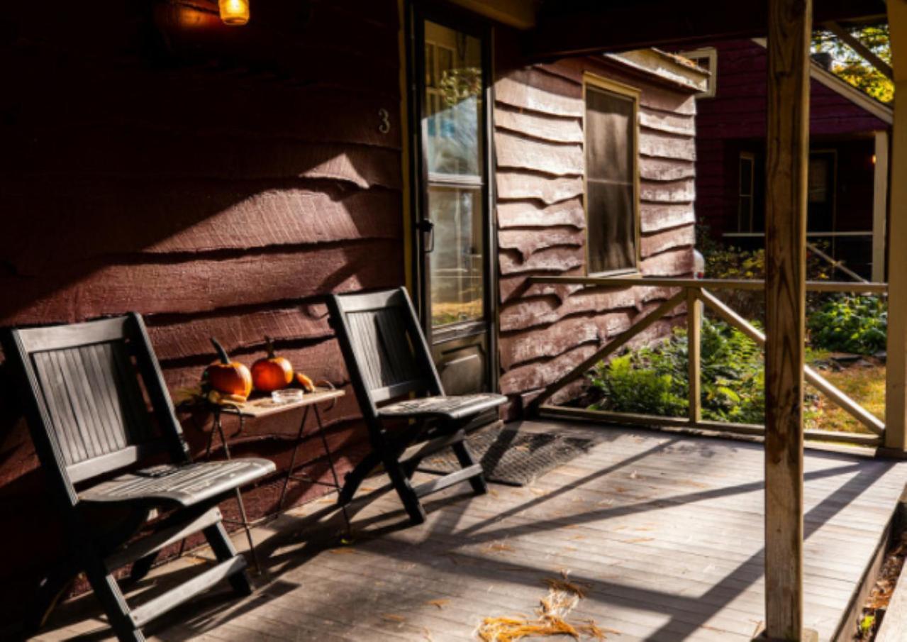 Phoenicia Lodge Hotel Phoenicia